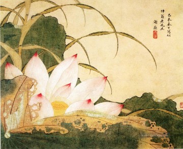  Lotus Kunst - Xiesun Lotus Chinesische Malerei